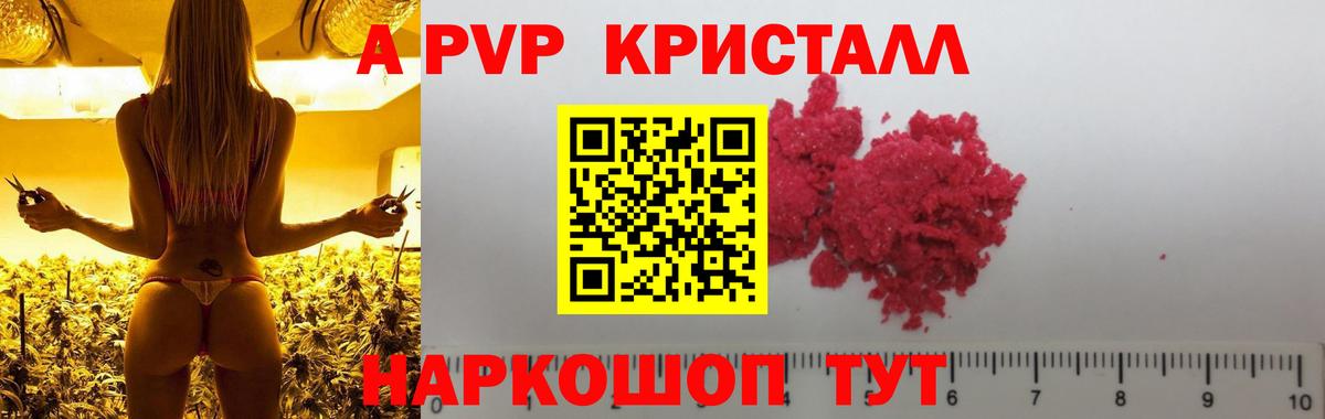 A PVP СК Саранск