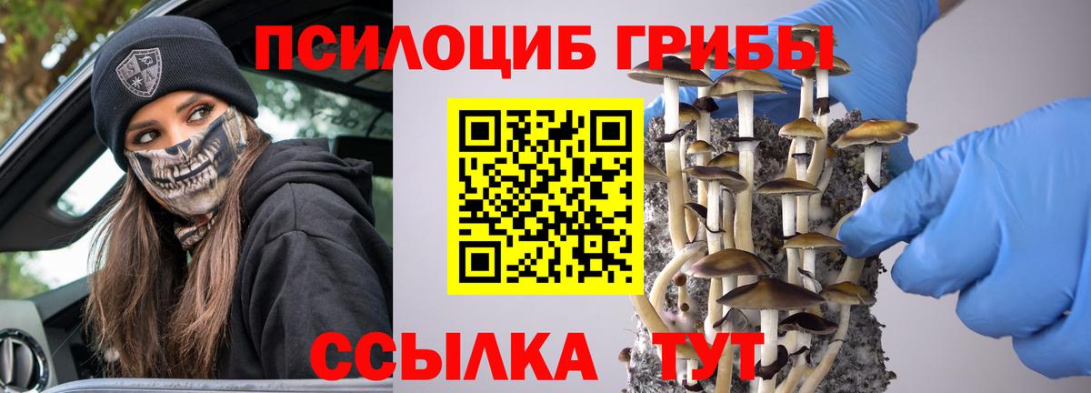 Псилоцибиновые грибы Magic Shrooms Саранск
