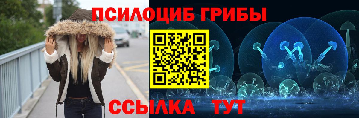Галлюциногенные грибы GOLDEN TEACHER  Вход с VPN  Саранск  Галлюциногенные грибы GOLDEN TEACHER 
